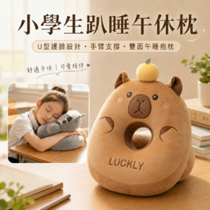 小學生趴睡午休枕｜U型護臉設計・手臂支撐・雙面午睡抱枕